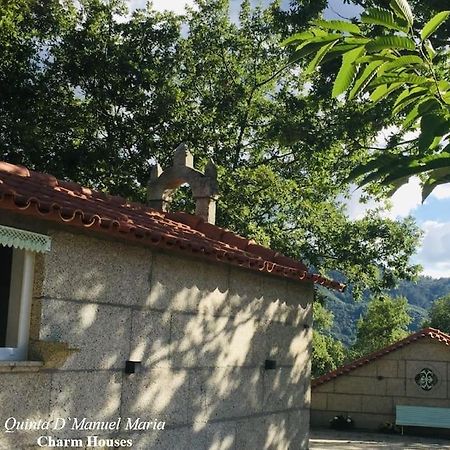 Amarante-Quinta D'Manuel Maria, Rural Charm Houses Luaran gambar