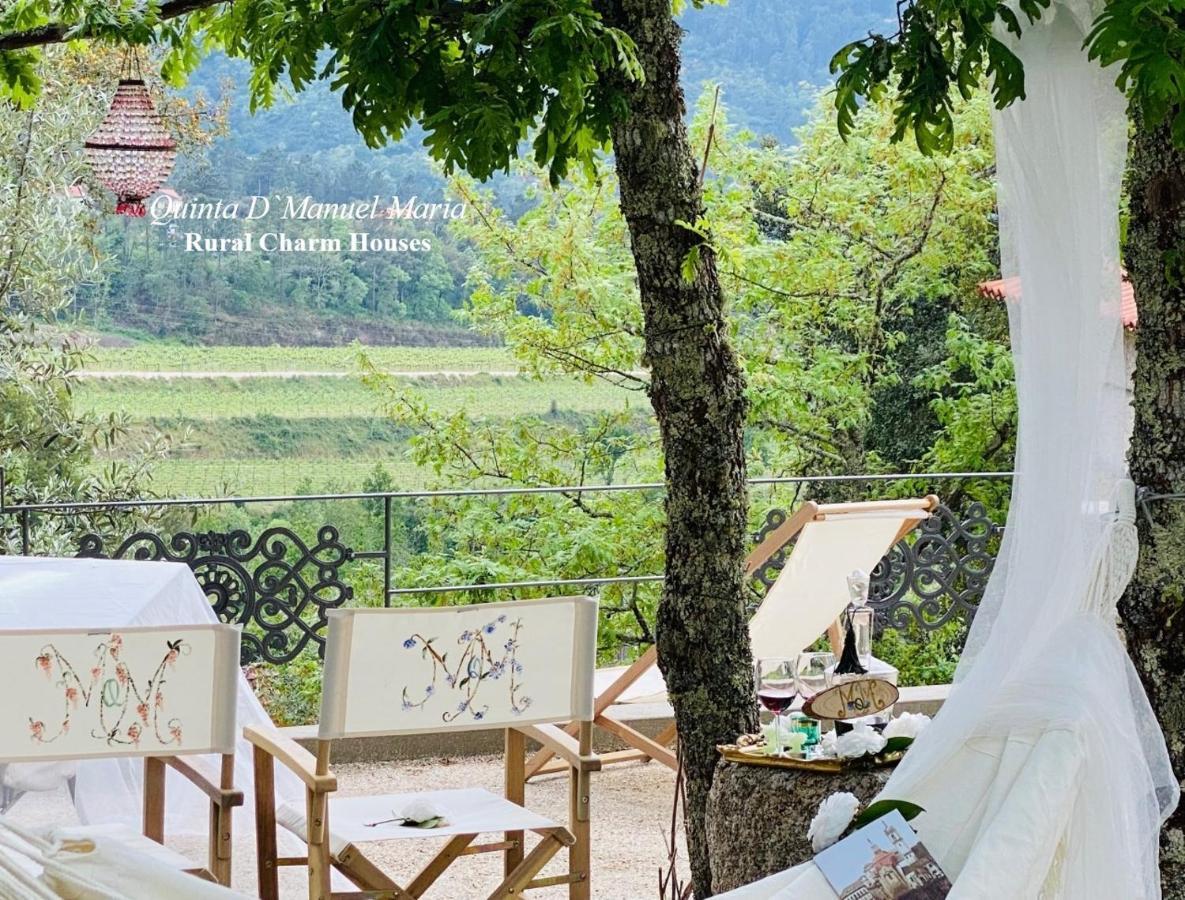 Amarante-Quinta D'Manuel Maria, Rural Charm Houses Luaran gambar